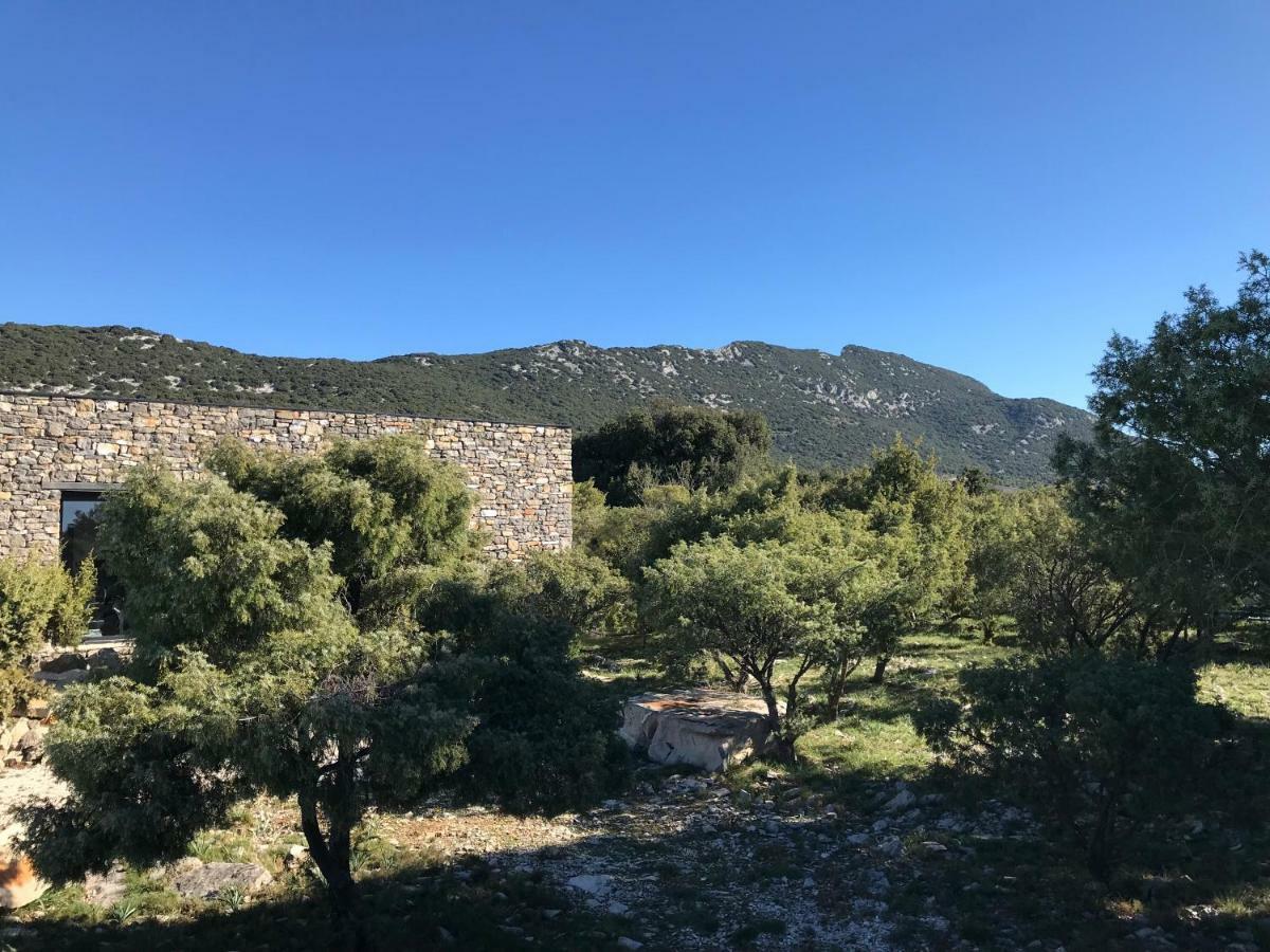 Le Domaine Du Cade-Gites D'Exception 4Etoiles "La Villa Du Cade" Cazevieille Exterior foto